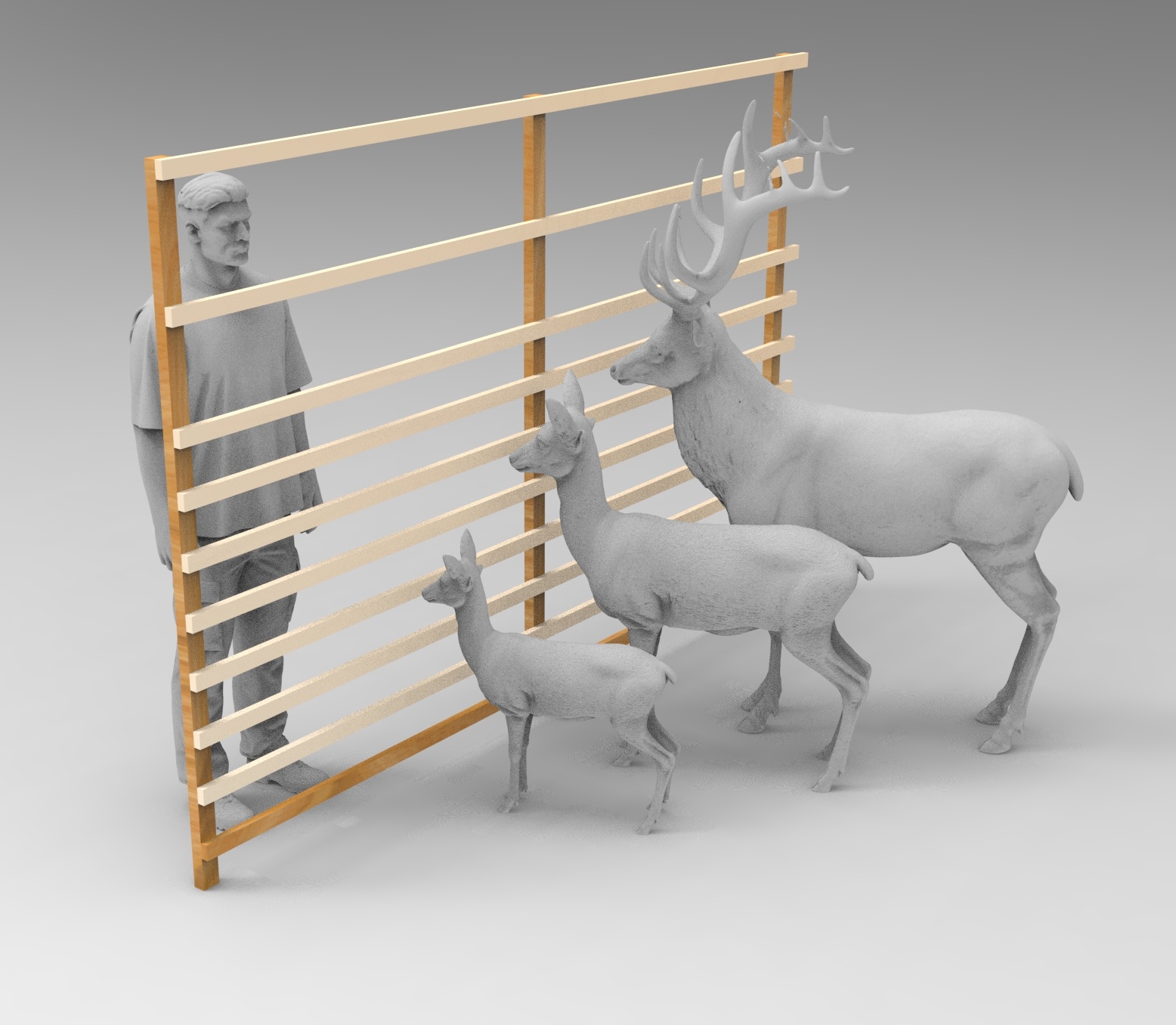 Lärchen-Hordengatter 4,00 x 2,00 m - Image 3